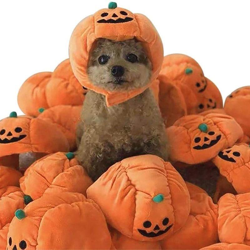 帽子 ハロウィン ペット 猫 パンプキン パーティ 小道具 